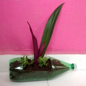 Plastic bottle pot for plants