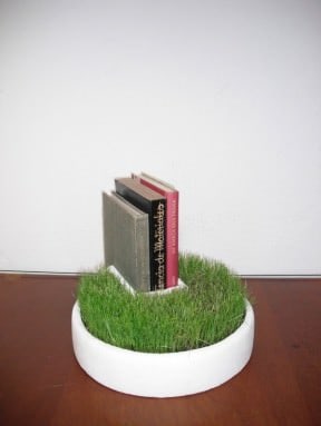 Bookseller grass
