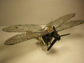 Insected junk