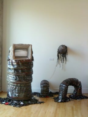 The Tapeworm