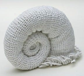 Cephalopod