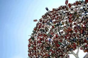 Recycled Tree