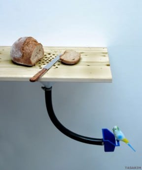 Bird feeder