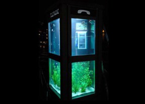 Aquarium phone booth