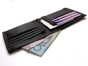 Seatbelt wallet