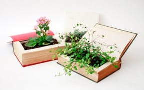 Book Pot
