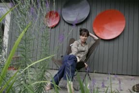 Repurposed arty satellite dishes