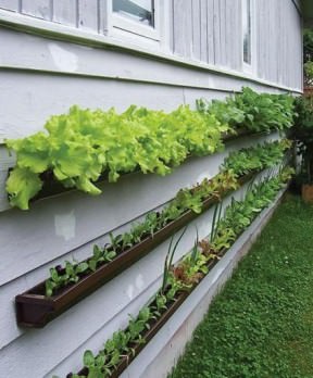 Repurposed rain gutters