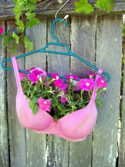 Plant a bra