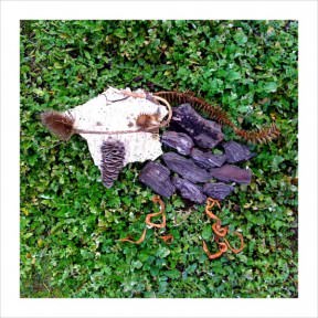 Nature Art
