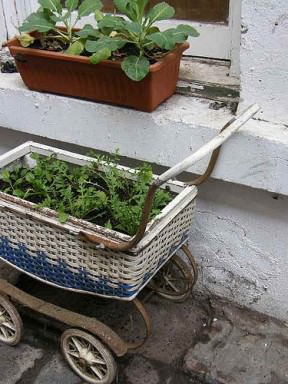 Baby buggy garden