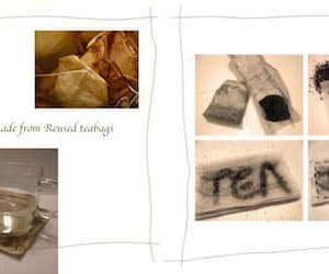 noid-TeaPagII