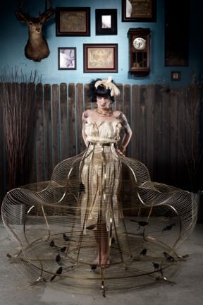 Birdcage Dress