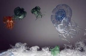 PET Jelly fish