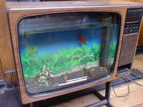 TV fish tank
