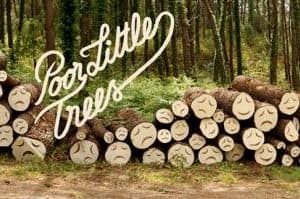 poor little trees3