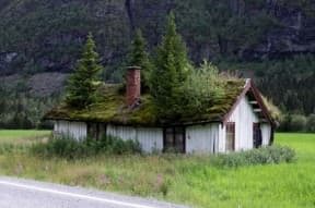 “Real” green roofs of Norway