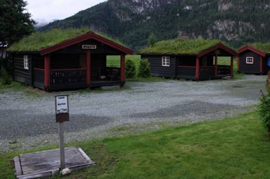 green-roof-norway (3)