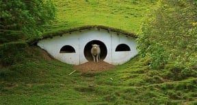 Hobbiton used by sheeps