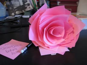 Rose it
