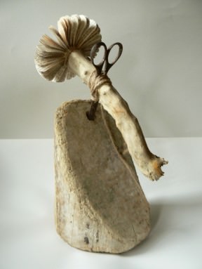 Driftwood sculptures