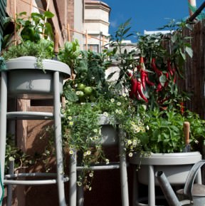 Urban Green Stool
