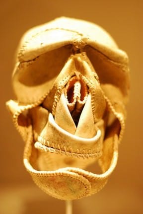 Baseball skull