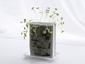 Manga Farming