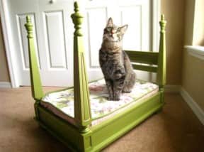 Deluxe Cat Bed