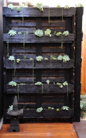 Paletto-Cactus