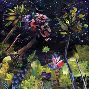 Magazine Collage