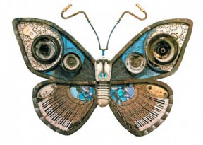 Butterfly of the trash