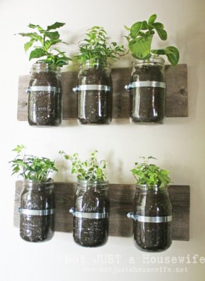 Jar wall planter