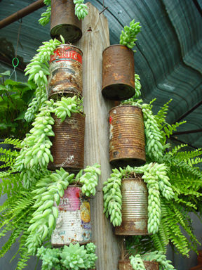 Cheap planters
