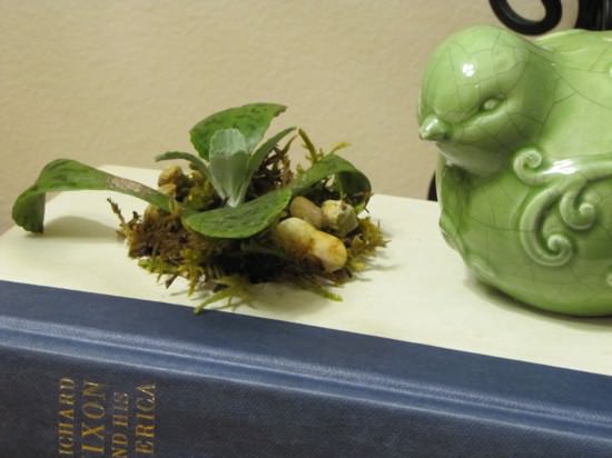 recycled book planter1 Old Book DIY Planter recycled book planter1 Old Book DIY Planter in paper diy with planter DIY Book