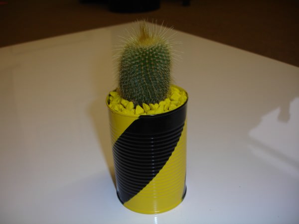 stripe-yellow