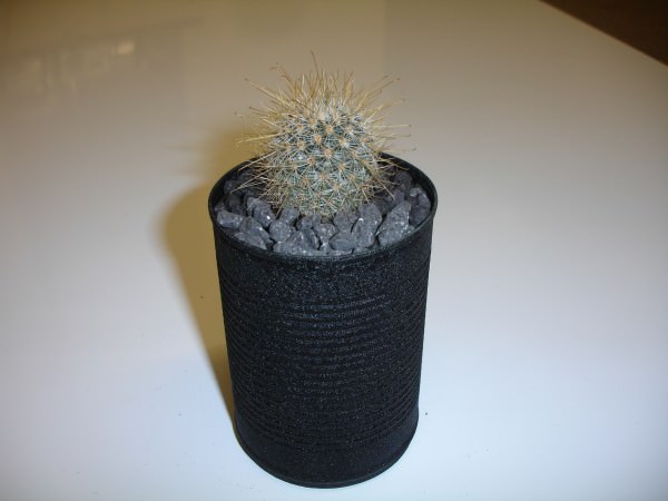 text-crinckle