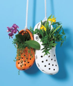 Crocs garden