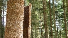 Inner Forest
