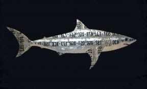 Great White