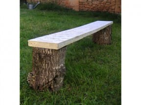 Fossile Bench