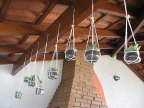 Garden of Jam Pots