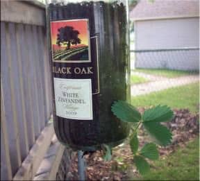 Recycled Glass Bottle Plant Holders
