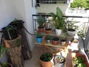 Reusing materials for my plants at balcony