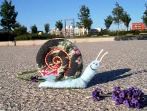Patchy Snail