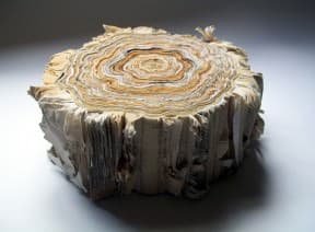 Illegal Logging