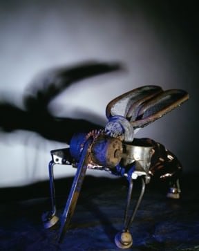 Bee