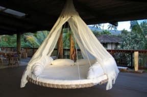 Reused trampoline into swinging bed