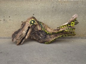 Driftwood Creatures
