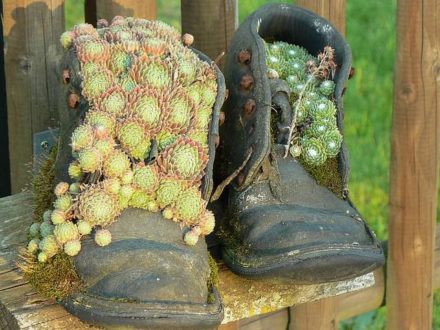 Flower pots boots fence